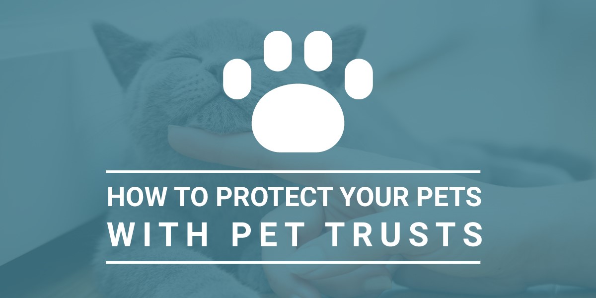How to Protect Your Pets with Pet Trusts